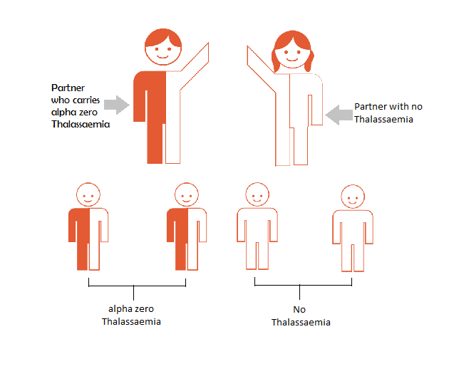 Thalassemia Llrf